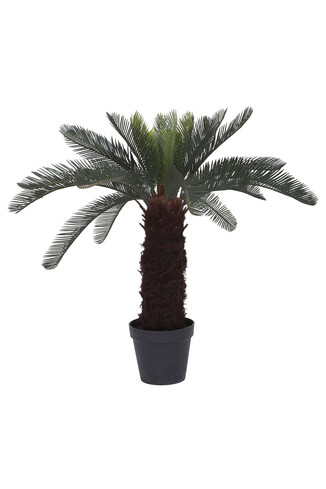 TK Maxx Pflanze fake 89.99&euro;