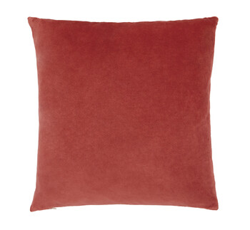 TK Maxx Rotes Samtkissen 17.99&euro;