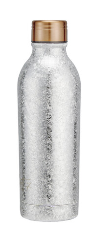TK Maxx Silberne Trinkflasche 16.99&euro;