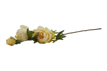 TK Maxx Peonie fake 4.99&euro;